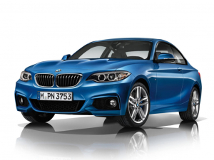 Коврики в салон (2 ряда) BMW 2 серия (F22) 2010-2020 (купе)