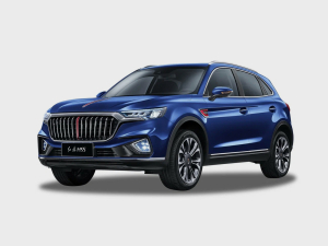 Коврик в багажник Hongqi HS5 2019-н.в.